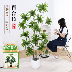 Artificial Green Plant Lily Bamboo Large Potted Plant for Living Room, High-End Light Luxury Landscaping Ornament, Floor-Standing Fake Green Plant Decoration Indoor Tree