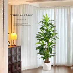 Simulated Green Plants, High-End Light Luxury Brazilian Wood Indoor Living Room Decoration, Floor-Standing Ornaments, Simulated Fake Plants, Potted Landscaping