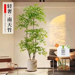 2025 Nantian Bamboo Artificial Green Plant Large Indoor Floor-Standing Potted Plant Living Room Decoration Flower Fake Tree Bionic Plant