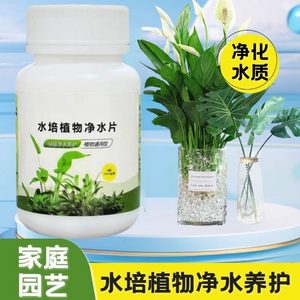 Hydroponics Plant Water Purifying Tablet Deodorization Sterilization Dracaena sanderiana Bowl Water Lily Special Purifying Water Quality Fresh Flower Preservation Tablet