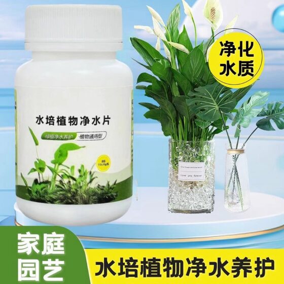 Hydroponics Plant Water Purifying Tablet Deodorization Sterilization Dracaena sanderiana Bowl Water Lily Special Purifying Water Quality Fresh Flower Preservation Tablet