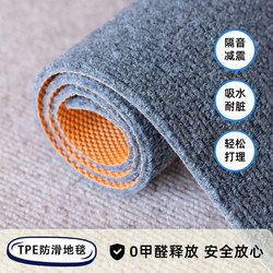 Carpet for Living Room, Bedroom, Entryway, Stain-Resistant, Commercial Use, Full Coverage, Office, Large Area, Soundproof, No-Maintenance Carpet