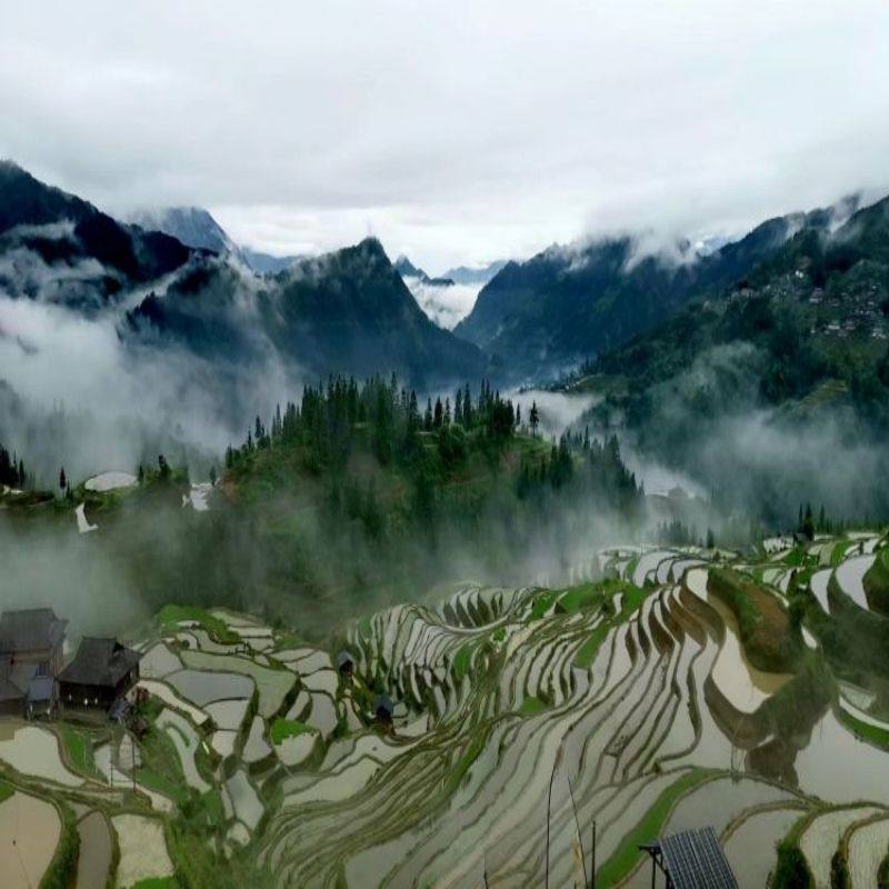 贵州旅游2-6人团3日游肇兴黄岗侗寨岜沙苗寨堂安梯田 从江接B线