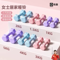 Dumbbells for Women, Home Fitness Equipment, Belly Slimming Kettlebells, Yoga, Kidsren and Teenagers, Small Dumbbells 2kg Pair