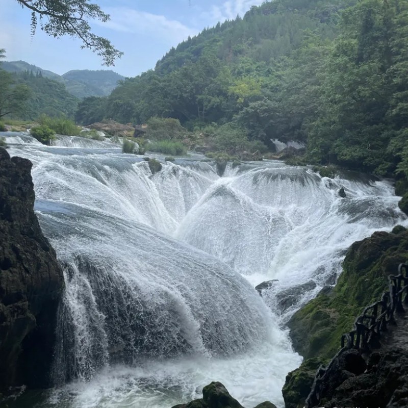 贵阳黄果树瀑布/天星桥风景区/陡坡塘瀑布一日游【纯玩无购物】