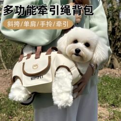 Pet Dog, Small Dog, Cat, Portable Cross-Body Handbag, Shoulder Bag, Pet Carry Bag, Cartoon Carrier Bag