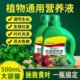 Plant nutrition solution universal home -cultivated flowers green spiny green plants, succulent potted potted fortune tree liquid fertilizer

