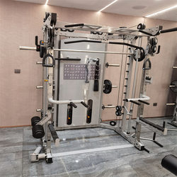 Shandong Brightway Fitness Equipment Multifunctional Smith Squat Rack and Bird Machine Combo with over 40 Training Exercises