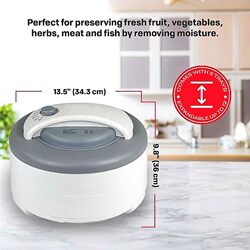 Home-Use Small-Scale Food Dehydrator for Fruits, Vegetables, Pet Food, and Meat