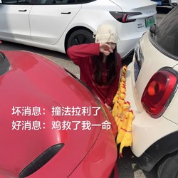 Chicken Saved My Life! Screaming Chicken Car Anti-Collision Protective Cover, Funny Stress-Relief Toy, Car Anti-Scratch Gadget