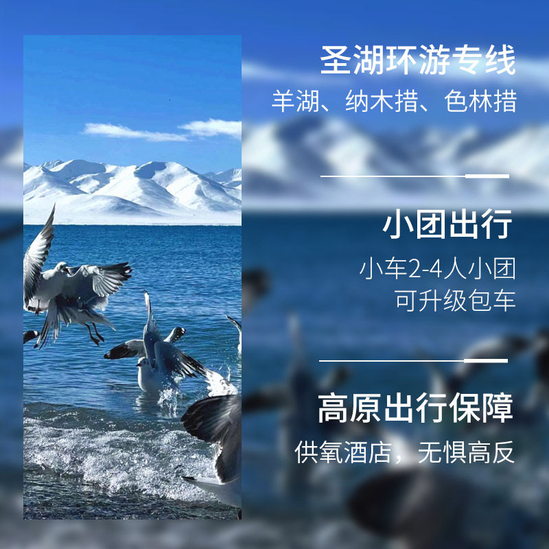 4人小团西藏旅游拉萨羊湖羌塘无人区纳木措3天2晚拼车包车跟团游