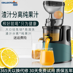 Juicer with Pulp Separation for Home Use, Fully Automatic Small Multifunctional Fruit Juicer, Fruit and Vegetable Juicer, Pulp Extractor