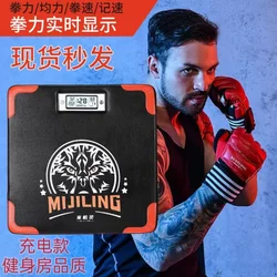 Boxing Strength Training Device, Punching Bag, Smart Boxing Target, Boxing Strength Tester, Hanging Type, Portable Measurement
