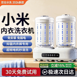 Double-Cabin Underwear Washing Machine, Sock Washing Machine, Integrated Washing and Drying, Fully Automatic, Small, Portable, Special Device for Washing Underwear