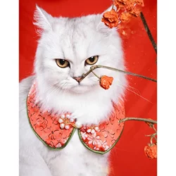 Chinese style shawl bib pet accessories cat bow scarf British short scarf collar saliva scarf dog Hanfu