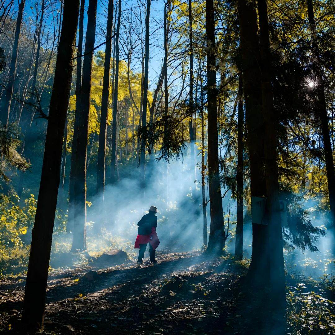 【徒步专业向导】6人昆明腾冲保山6日温泉+山野美食跟团游云南