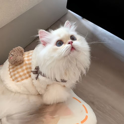 Kitten Clothes for Autumn and Winter, Cute Plush Warm Cotton Clothing for Cats and Dogs, Bichon Teddy Vest, Winter Pet Vest