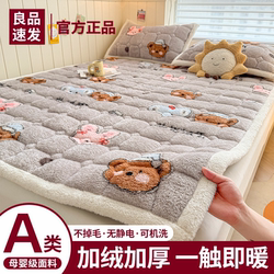 Class a Teddy Velvet Mattress Soft Pad for Home Use in Winter, Milk Velvet Thin Pad for Student Dormitory Single Bed Mattress Bedding