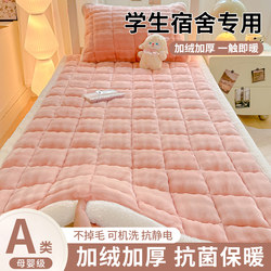 Milk Velvet Mattress for Dormitory Students, Single Size 90X200, Plush, Thickened for Winter, Warm Mattress Pad, Bed Sheet