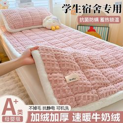 Winter Lamb Wool Tatami Mattress Student Dormitory Single Milk Velvet Mattress Pad Thick Plush Soft Cushion