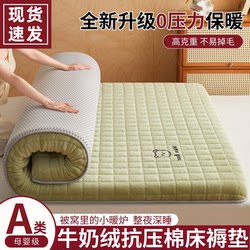 Winter Thickened Warm Milk Velvet Mattress Coral Fleece Mattress Pad Dormitory Student Single Soft Mattress Pad Bedding