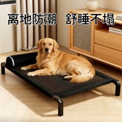 Dog Camping Bed for All Seasons, Elevated Pet Bed, Moisture-Proof, Large Dog Bed, Small Dog Sleeping Mat