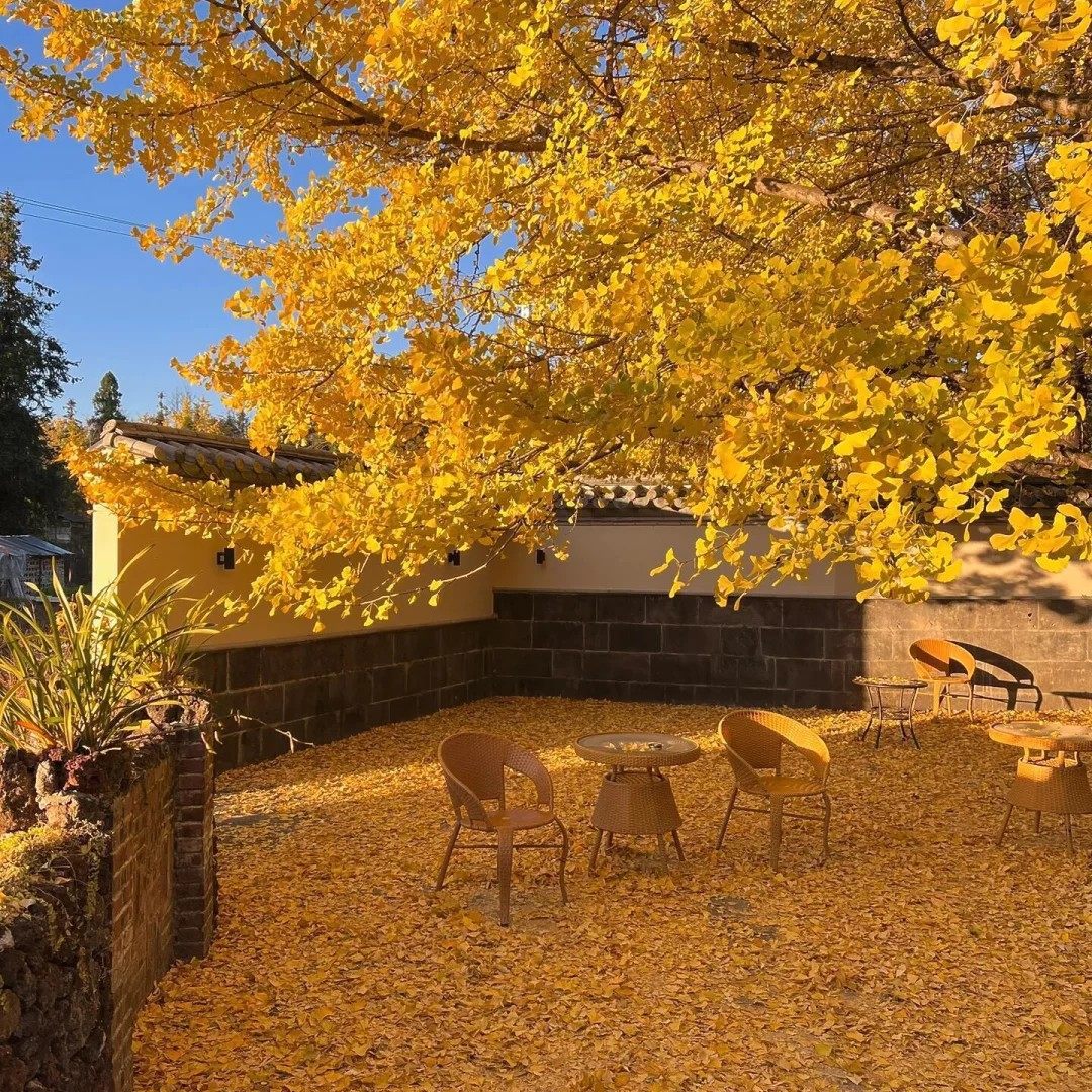 0购物一价全含云南旅游腾冲6天5晚跟团私家团含昆明双动往返-飞猪