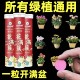 Plant nutrition tablets universal sustained release tablets green plant flower fertilizer compound fertilizer flower slow release fertilizer household potted gardening