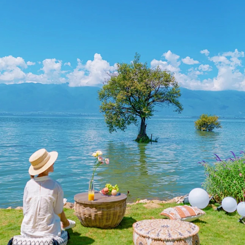 【纯玩品质】云南旅游昆明大理丽江香格里拉泸沽湖8天7晚单人可拼