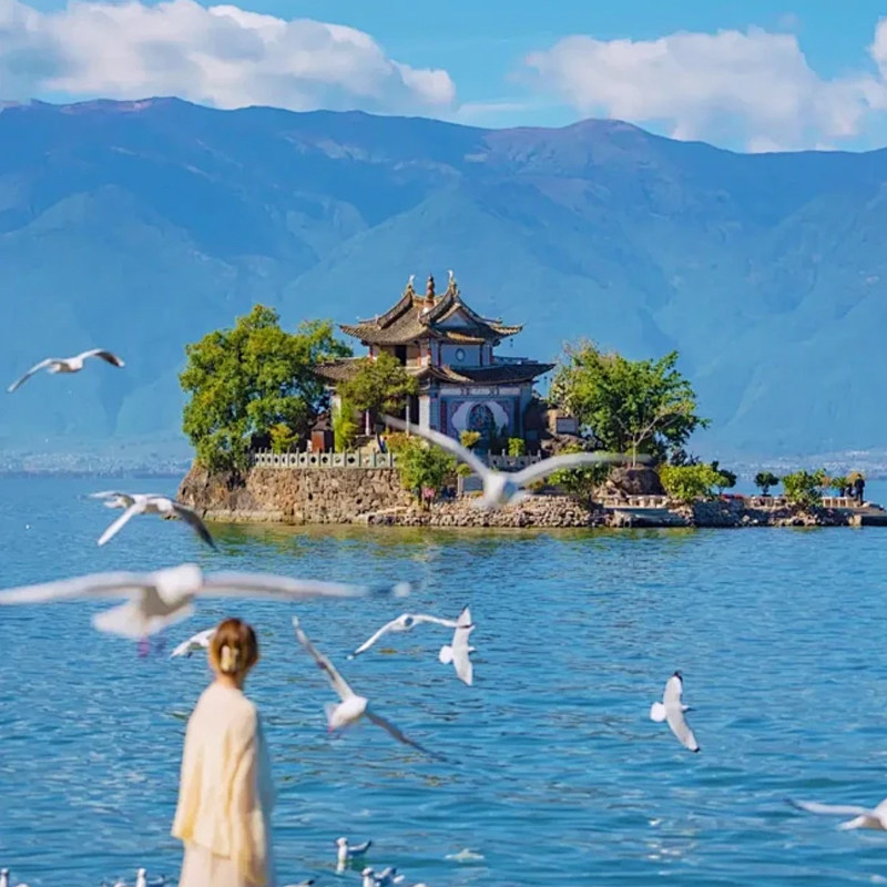 【纯玩品质】云南旅游昆明大理丽江香格里拉泸沽湖8天7晚单人可拼