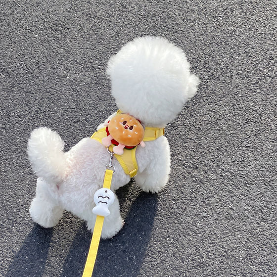Dog leash anti-breakaway vest type small dog and cat cartoon harness for walking dogs and pets in summer