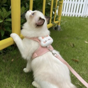 
Cat traction rope to prevent break-away when going out, cat rope, chest and back, I-shaped vest-style harness, traction rope for kittens and pets