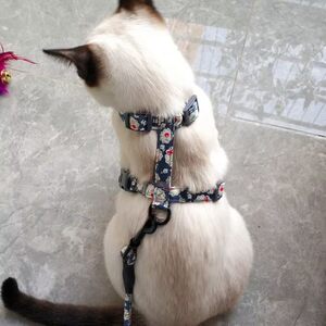 
Cat leash prevents breaking free summer cat walking leash adjustable cat leash leash cat leash pet dog out