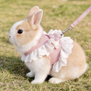 
Rabbit traction rope for walking rabbits, special anti-breakaway slip, adjustable rabbit rope, walking rabbit rope, dwarf rabbit supplies, anti-bite