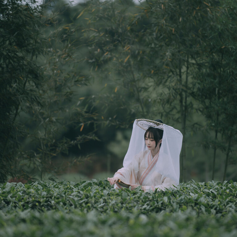 【非遗体验】杭州 西湖风景名胜区 龙井村采茶+炒茶+品茶体验之旅