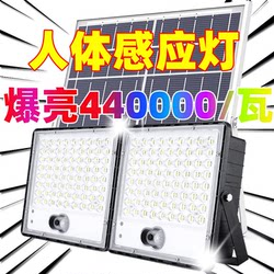 Solar-Powered Light with Human Body Sensor Lens, Outdoor Dual-Light for Courtyard and Driveway, Automatically Turns on after Dark