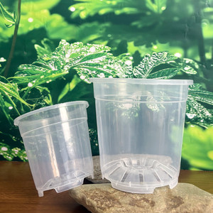 Highly transparent hard plastic flower pot Phalaenopsis seedlings succulent orchid Dendrobium on the root control root breathable pot