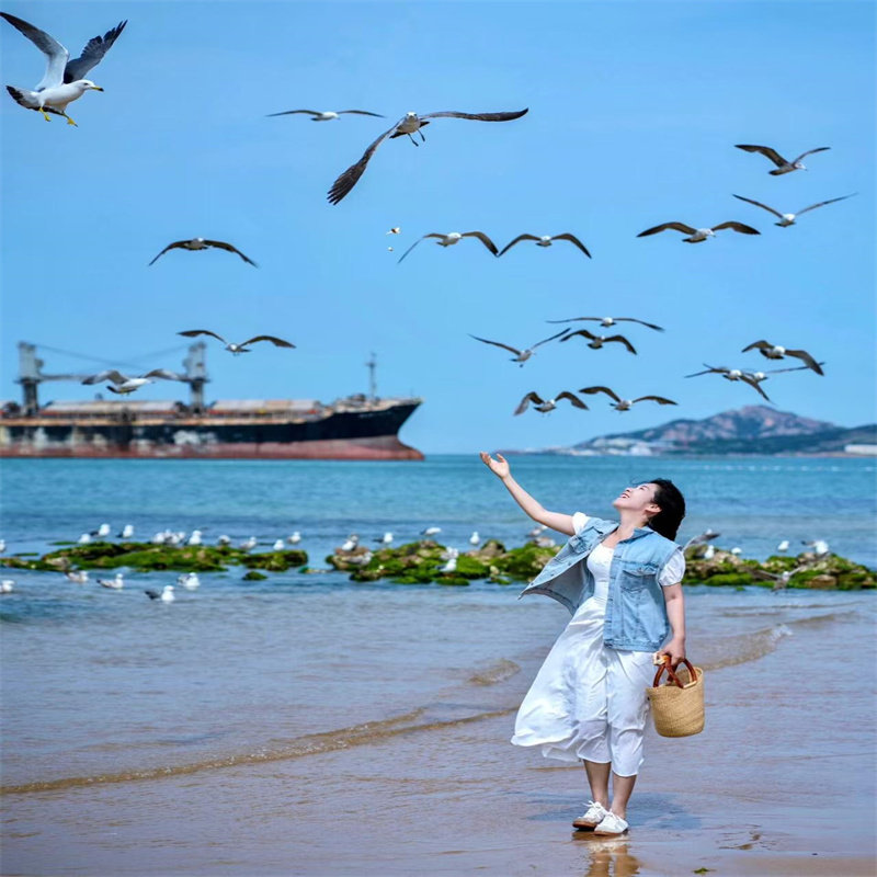 威海2-8人团 火炬八街+布鲁维斯+那香海+猫头山+大相框+悦海公园