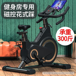 Dynamic Bicycle, Home Fitness Equipment, Gym-Specific Indoor Exercise, Weight Loss, Silent Smart Power Bicycle