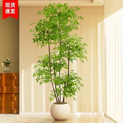 Nantianzhu Artificial Green Plant, High-End Luxury Floor-Standing Large Indoor and Outdoor High-Quality Bonsai Decoration Fake Tree for the Living Room