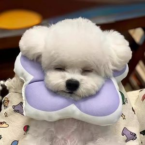 
Dog neck ring Elizabeth petal neck ring cute anti-licking headband soft ring small dog cat pet supplies