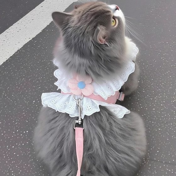 
Cat leash chest strap JK princess skirt adjustable anti-breaking pet dog leash for outgoing