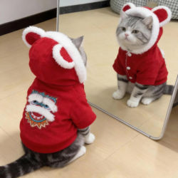 Cat Clothes for Autumn and Winter, New Year's Hooded Sweatshirt with Fleece, Lion Dance Embroidery, Warm Golden Gradient Ragdoll Pet Clothing