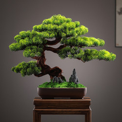 New Chinese-Style Zen Welcoming Pine, Arborvitae Artificial Bonsai, Office Living Room Entrance Fake Tree Green Plant Decoration Ornament