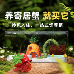Highly transparent integrated breeding box for hermit crabs