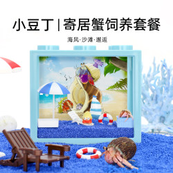 Cute hermit crab breeding set meal
