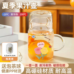 High Borosilicate Glass Cup for Girls, High Aesthetic Value, New Model for Home Use, Cold Water Pitcher, Office Cup with Lid, Tea Infuser