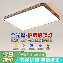 2025 New Model Led Ceiling Light for Room, Bedroom, Living Room, Hall, Modern Simple and Elegant Zhongshan Lighting Fixtures 3