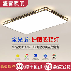 Upgraded Full Spectrum Living Room Lamp Led Ceiling Lamp Simple Modern Atmospheric Hall Lamp Creative Bedroom Aisle Lamp