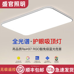 2025 New Led Ceiling Light Room Bedroom Light Living Room Light Hall Modern Simple and Elegant Zhongshan Lighting S